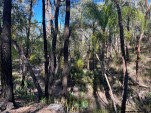 POSSUM PARK-11-16 PM-B13 IMG 1144-025