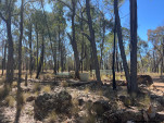 POSSUM PARK CAMP-11-29 PM-IMG 1179-058