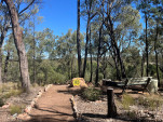 POSSUM PARK CAMP-11-29 PM-IMG 1176-055