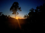 POSSUM PARK CAMP-11-29 PM-IMG 1114-047