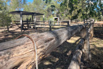 POSSUM PARK CAMP-11-29 PM-IMG 1042-024
