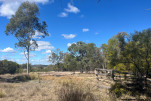 POSSUM PARK CAMP-11-29 PM-IMG 1041-023