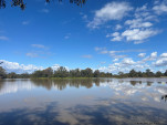 CHINCHILLA-23-46-20-IMG 1192-007